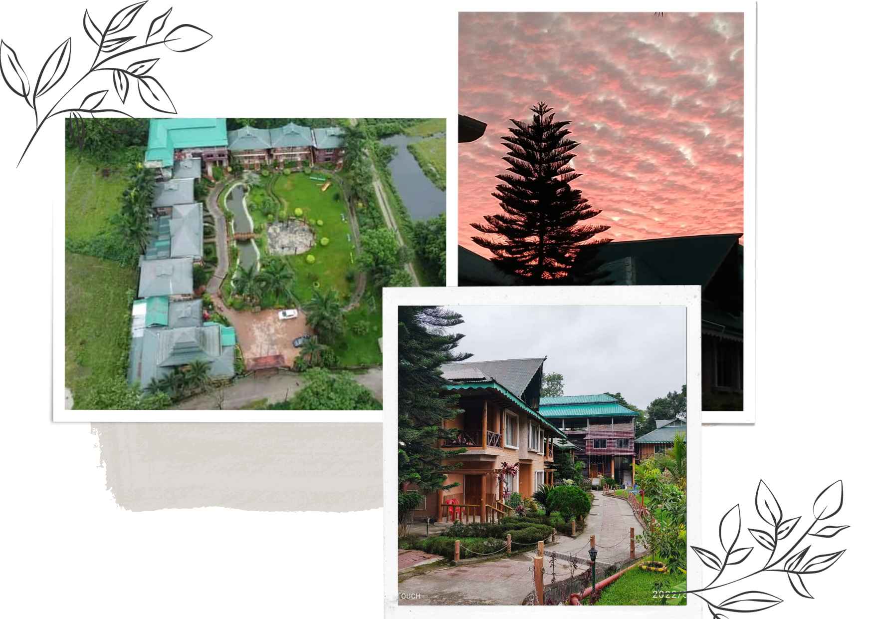 about-us-greentouch-lataguri